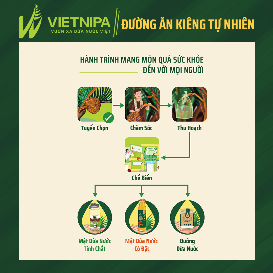 Combo 2 mật ăn kiêng Vietnipa từ dừa nước 375gr