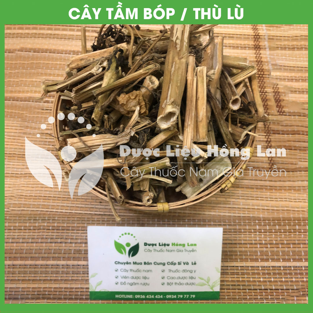 1kg Cây Tầm Bóp (Thù Lù) khô sạch