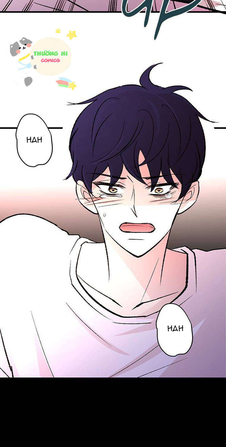 từng chút đến bên anh chapter 5 7