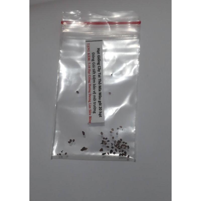 233A Hạt giống cây tai thỏ mix màu 20 hạt