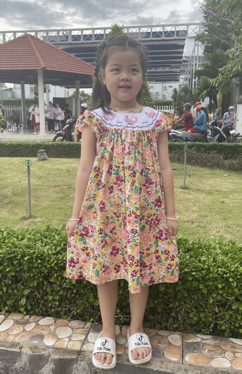 ĐẦM BÉ GÁI CỔ TRÒN THÊU MÓC XÍCH ĐÔ ÁO CÀI NÚT SAU