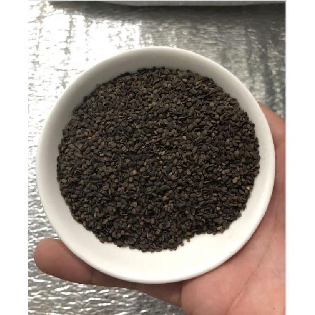 Hạt giống hoa thanh trúc kép mix màu /gói 10 hạt