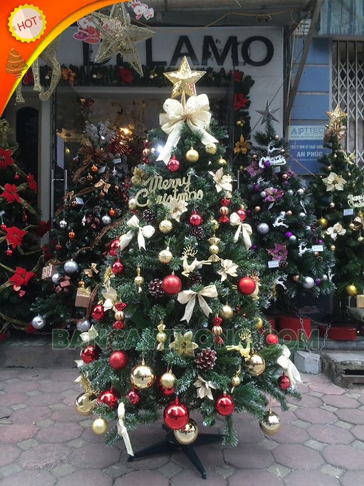 Cây thông noel 3 loại lá gắn trái thông cao 150cm