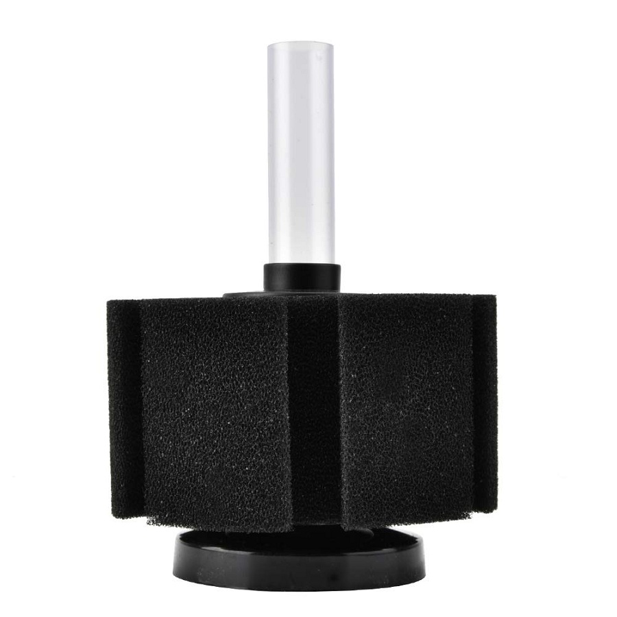 Lọc sủi vi sinh XY-280