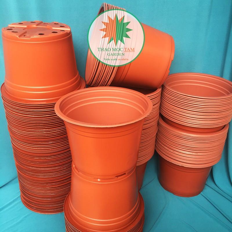 30c Chậu nhựa trồng hoa 23x16cm - Chậu nhựa trồng cây hoa cảnh