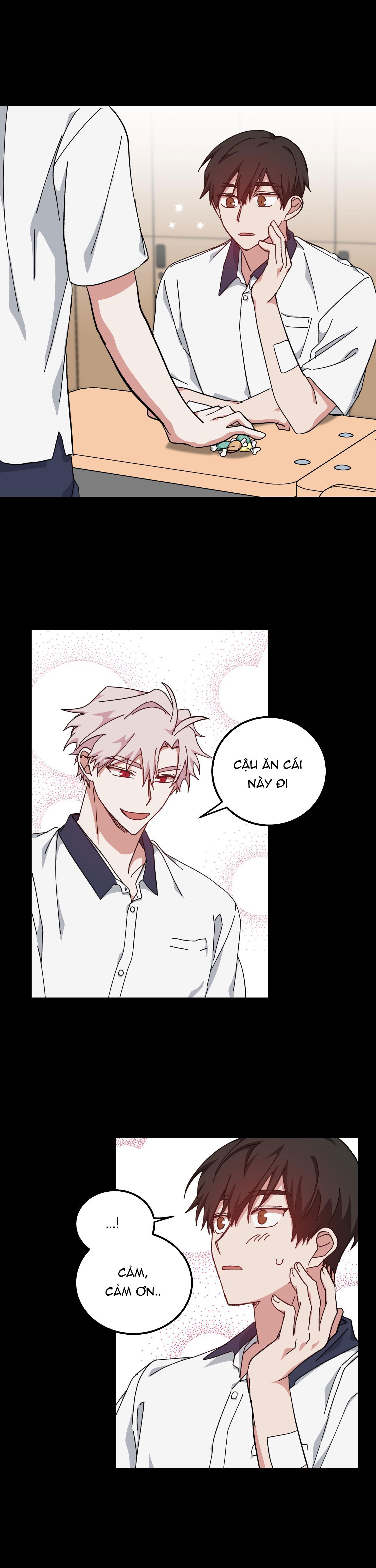 yêu tôi đi, thần hộ mệnh chapter 34 14