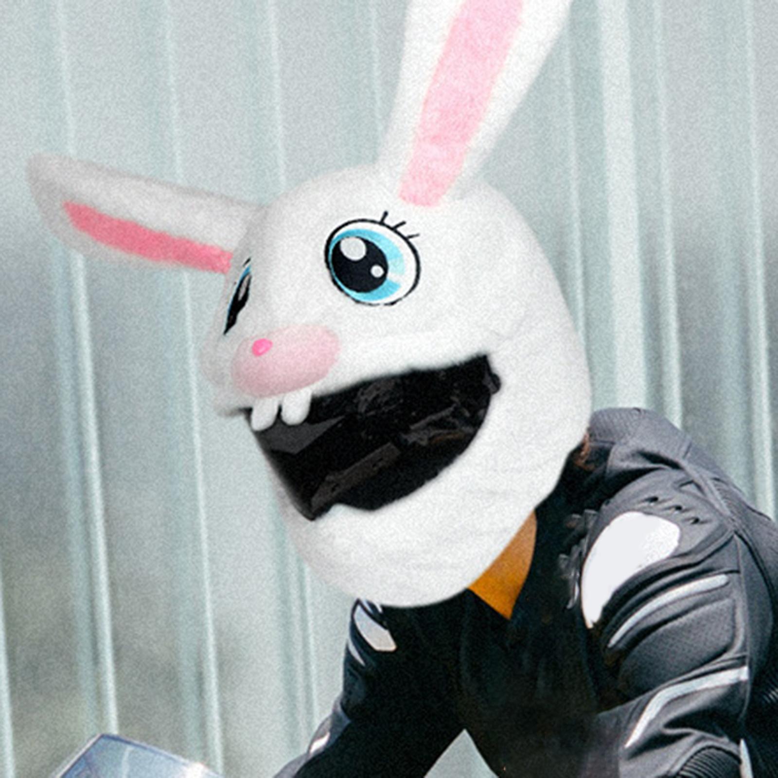 Cover Sleeve for Full Face Helmets Motorbike Plush Funny  Cover