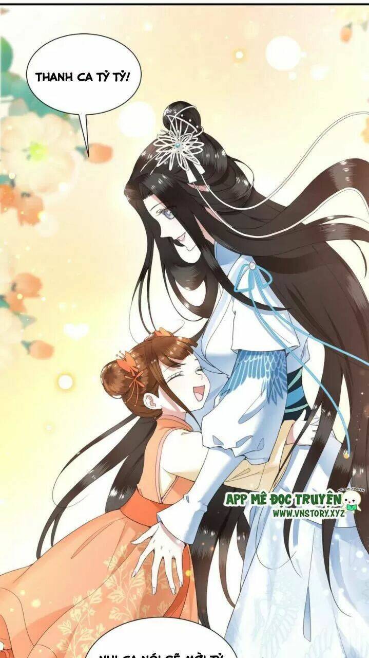 phượng hoàng vu phi chapter 71 6