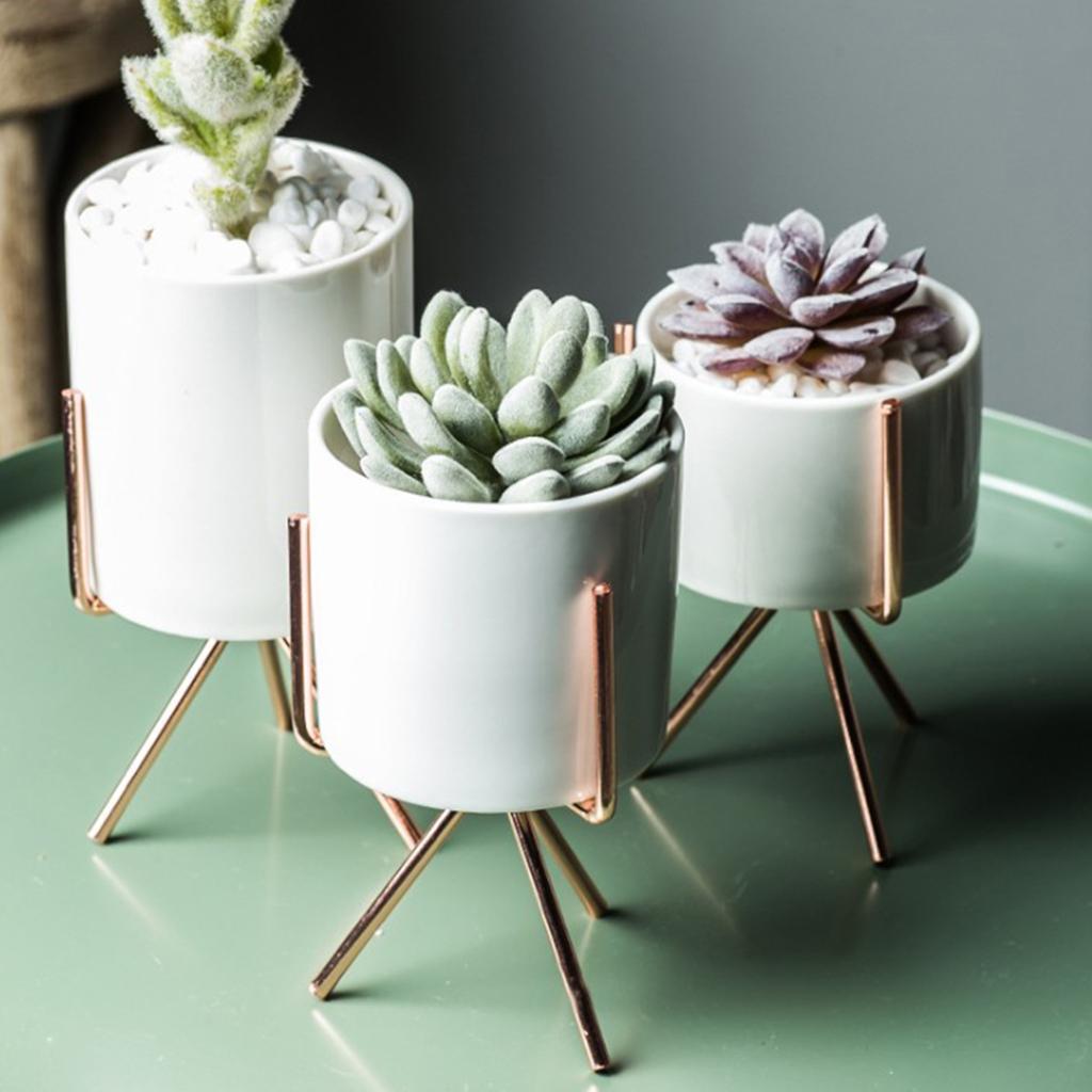 Nordic Style Metal Plant Stand Rack with Flower Pot S.5cm Pot