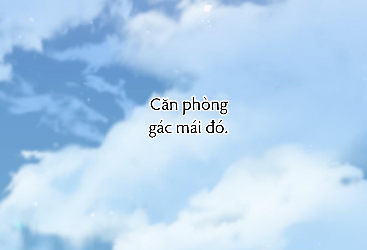 đàn thỏ của habibi chapter 35 226