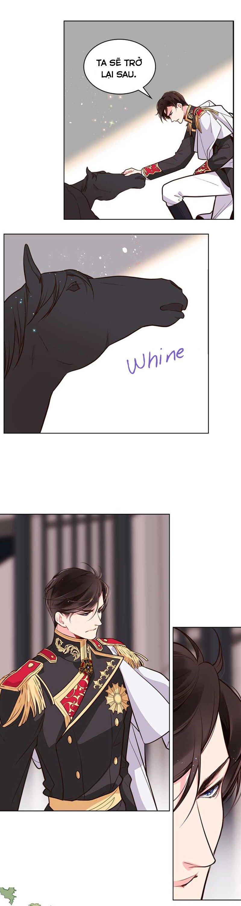 beatrice chapter 11 13