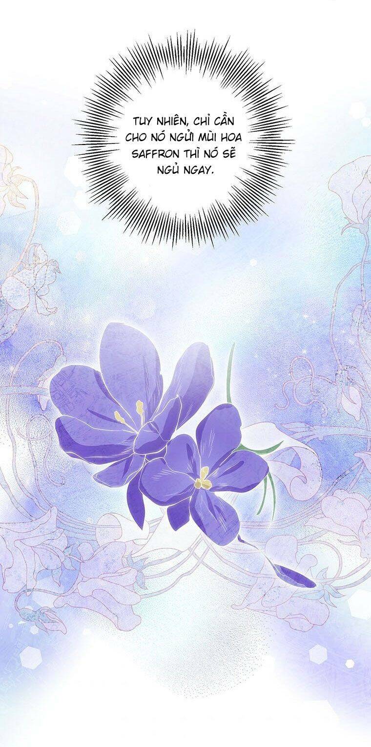 phía sau mặt nạ của nam chính hiền lành chapter 13 41