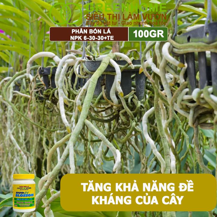 Phân Bón Lá Grow More NPK 6-30-30, GreenHome, Chai 100GR, Kích Ra Hoa, Tăng Đậu Quả