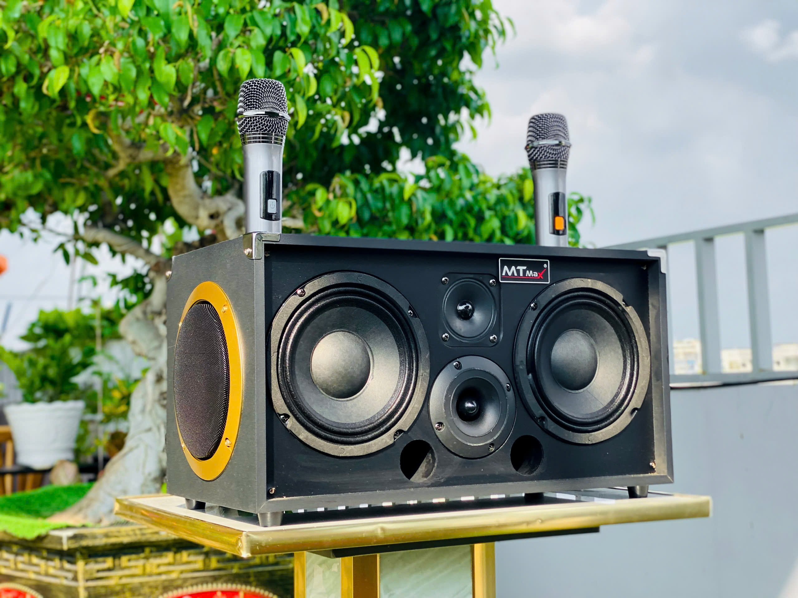 Loa Kéo Xách Tay Nhỏ Gọn Karaoke MT8888 – 400W, 2 Bass 16, Có Mic Không Dây, Giá Rẻ Âm Thanh Hay Mạnh Mẽ hàng nhập khẩu