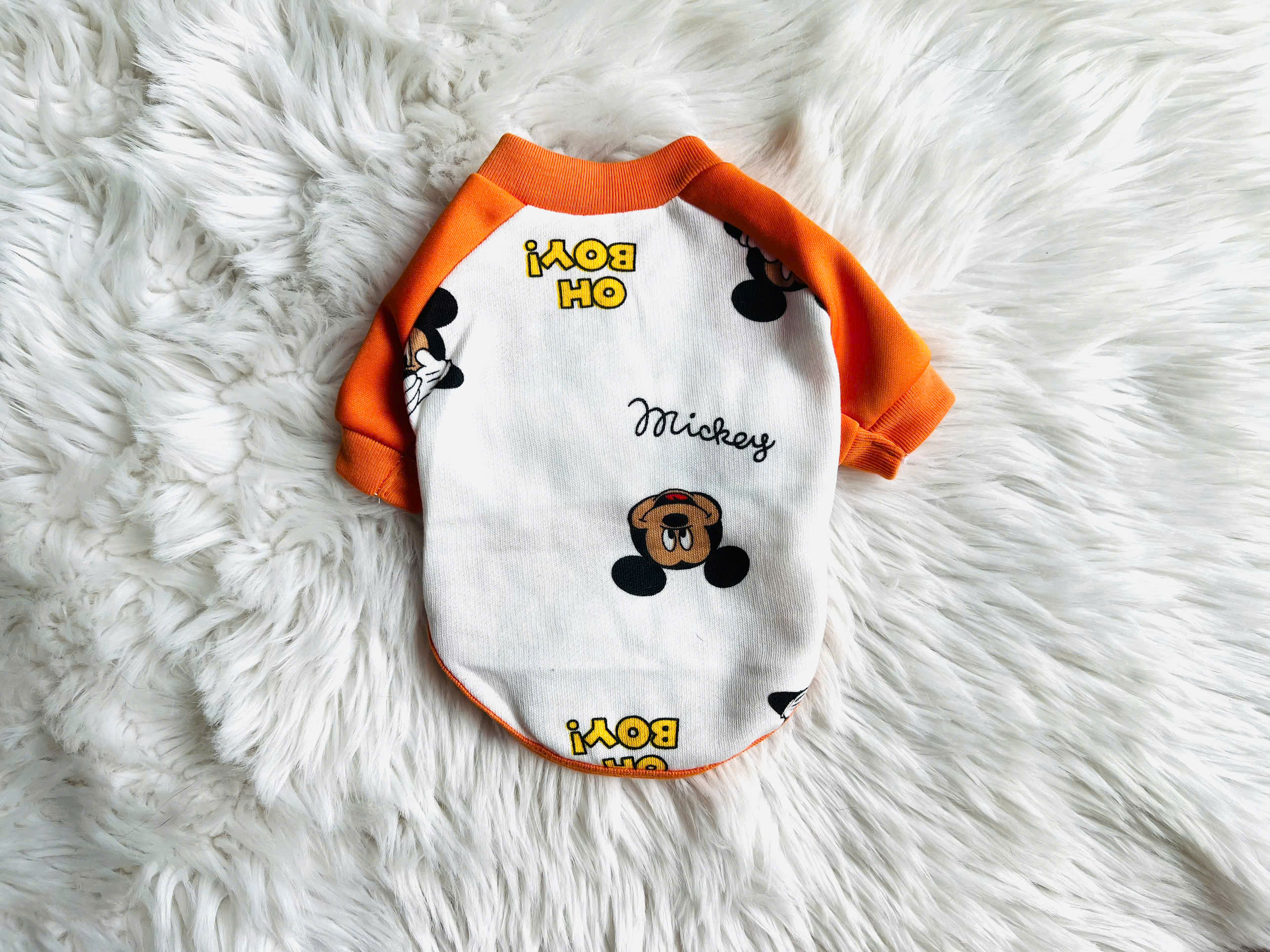 ÁO THUN NỈ PHOM RAGLAN MẶC ẤM CHO THÚ CƯNG CHÓ MÈO