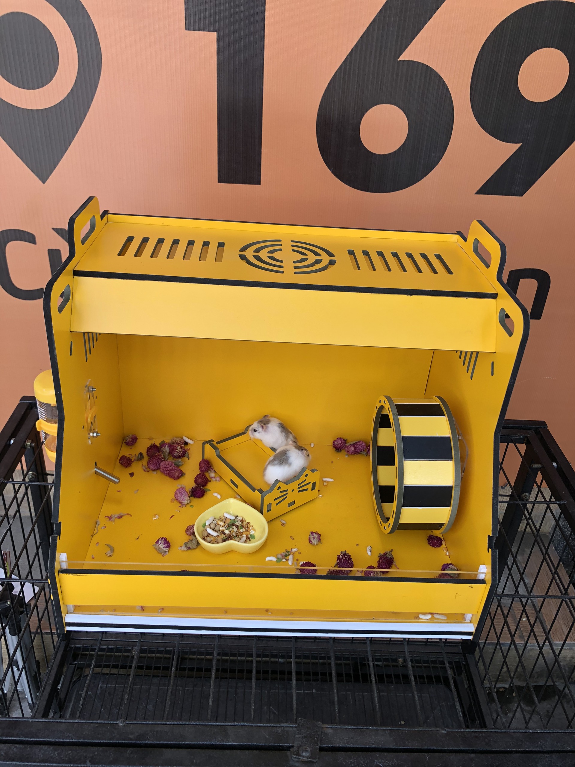 MO207H- Giường Ngủ Miumiu Gỗ Công Nghiệp Màu Vàng- Nhà Ngủ Cho Hamster – MadebyNobipet