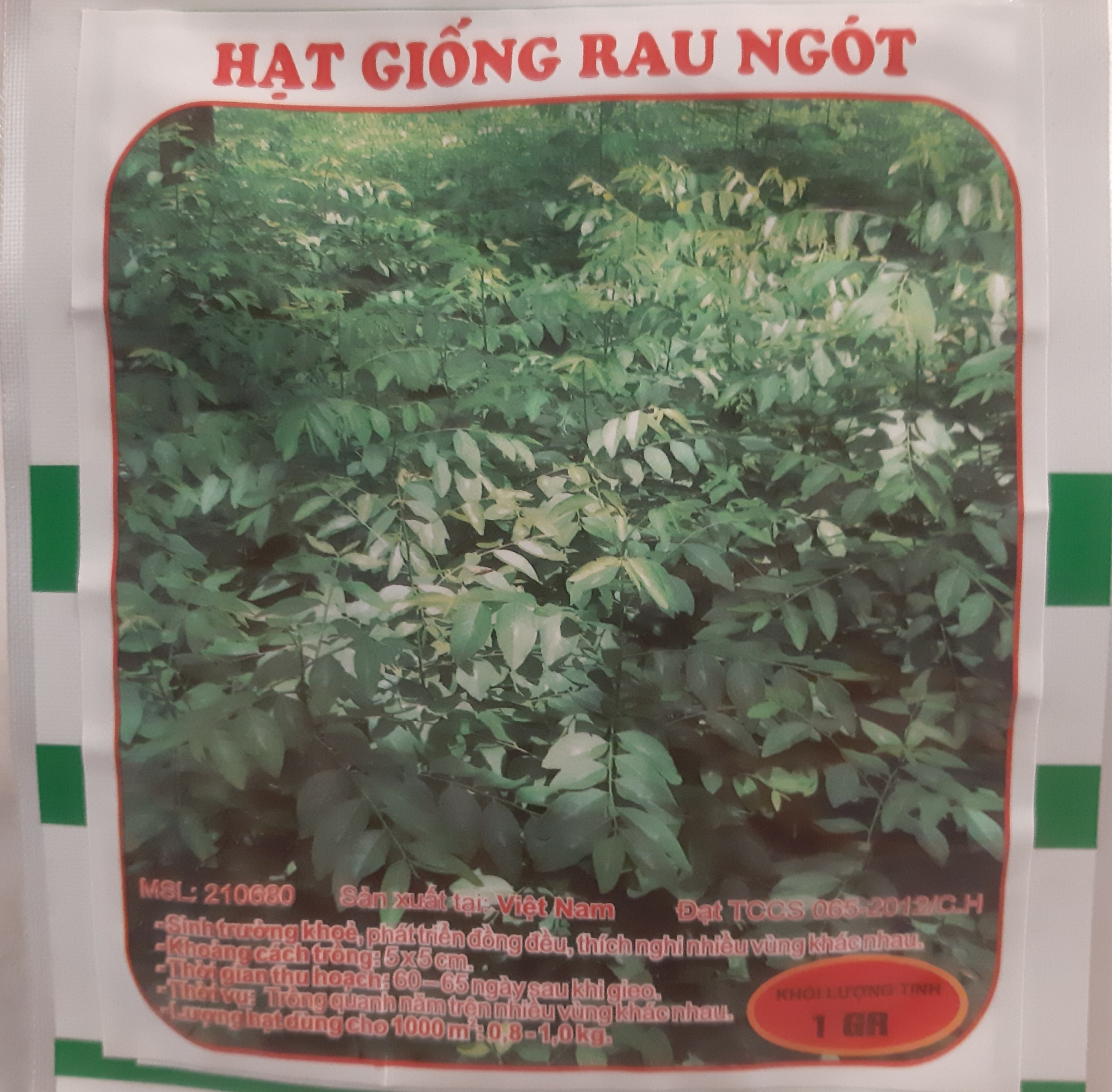 Shop Midori_Gói hạt giống rau ngót