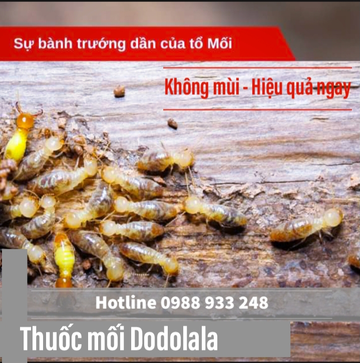 Thuốc xịt Mối Sinh học Dodolala 520ml Không Mùi Hiệu Quả Cao