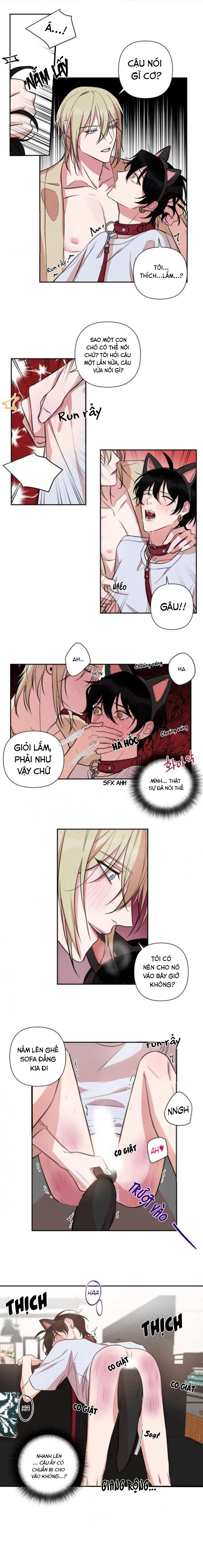 xu hướng tình dục bạn học chapter 29 7