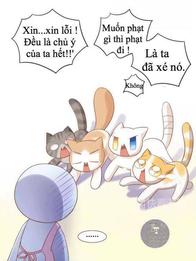 thị hoang chi thần chapter 13 29