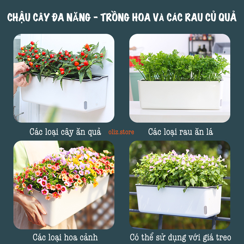 Chậu nhựa trồng cây A207. Chậu trồng cây tự dưỡng 2 lớp, có chức năng tự hút nước cho cây