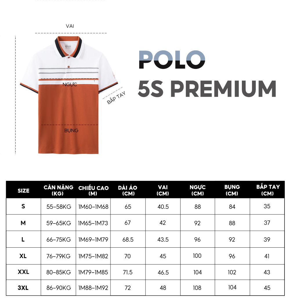 Áo Polo Nam 5S FASHION Cotton, Thiết Kế Can Phối Trẻ Trung, Lịch Lãm, Tay Thêu Nổi Bật (APC23095)