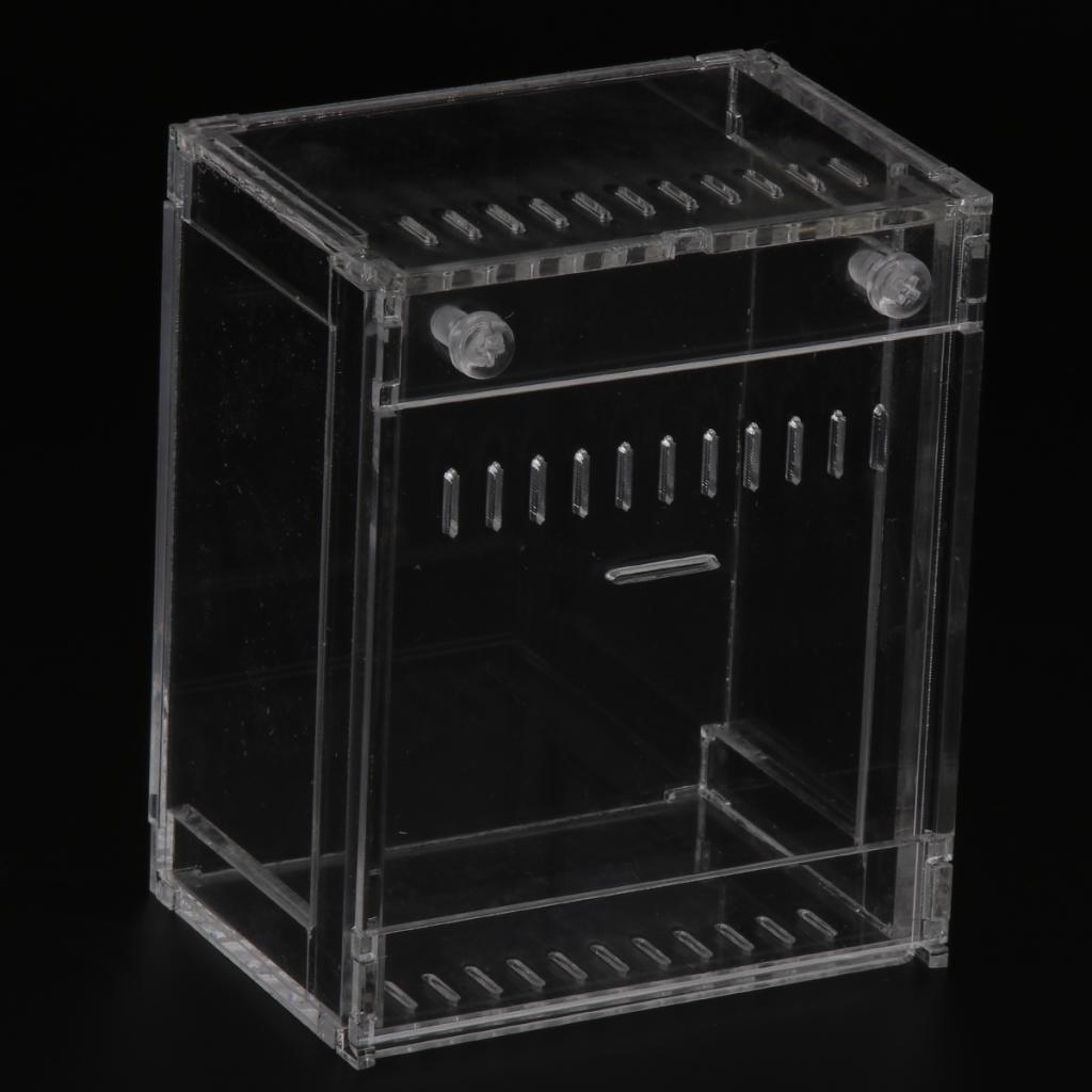 Acrylic Pet Reptiles Worm Breeding Box Clear Cases for Reptile