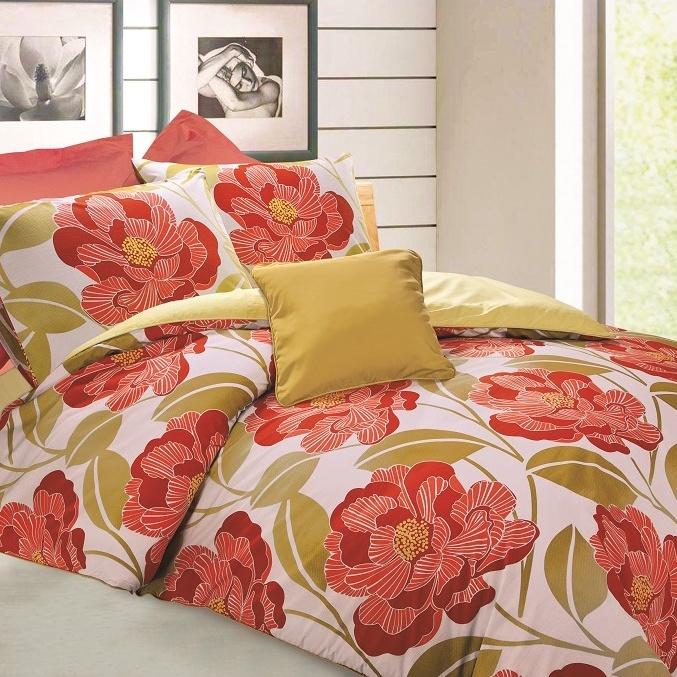 Bộ ga gối cotton Novelle Cruise 1M6x2M