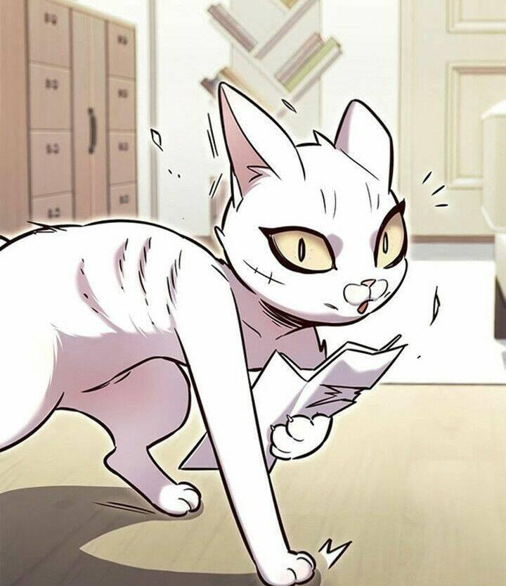 biến thân thành mèo chapter 200 52