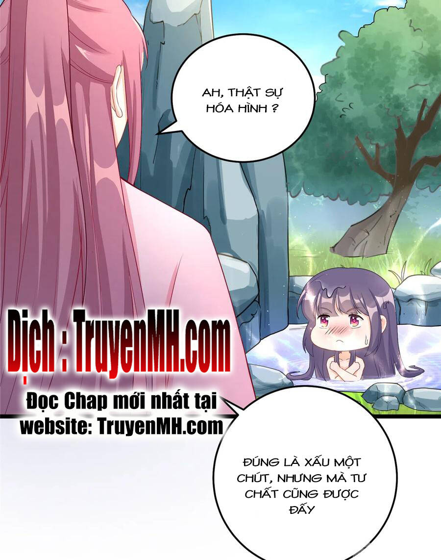 Piyo Piyo Angel Chapter 288 - Next Chapter 289