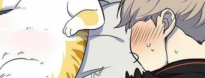 biến thân thành mèo chapter 36 77