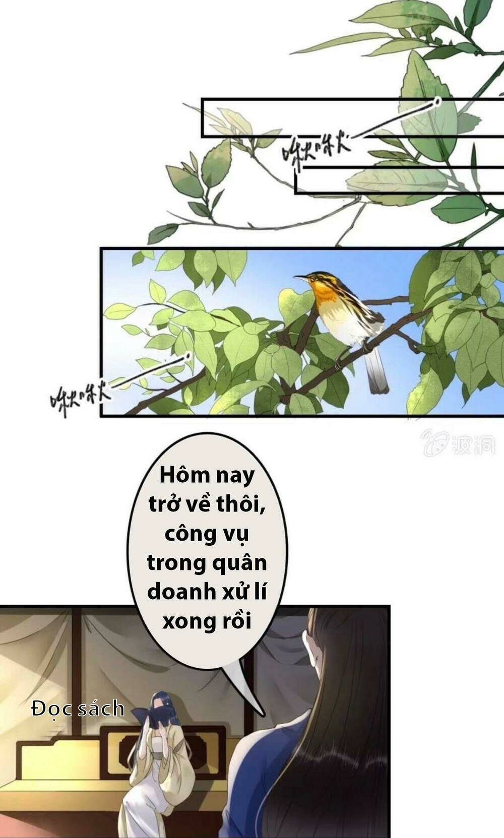 sủng phi của vương chapter 97 6