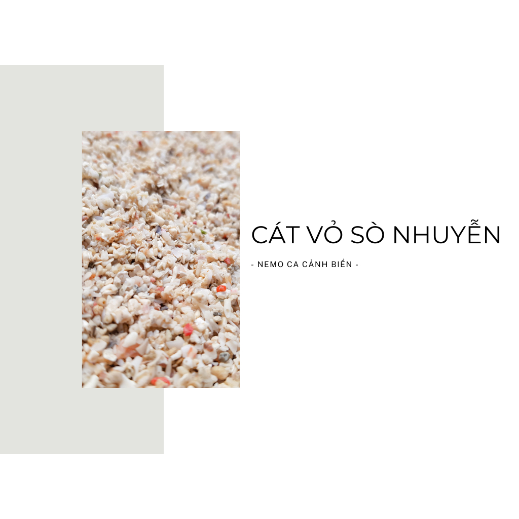1kg Cát vỏ sò nhuyễn trãi nền trang trí cho bể Cá Biển - Hồ Cá Nước Mặn, Thuỷ Sinh Nước Mặn