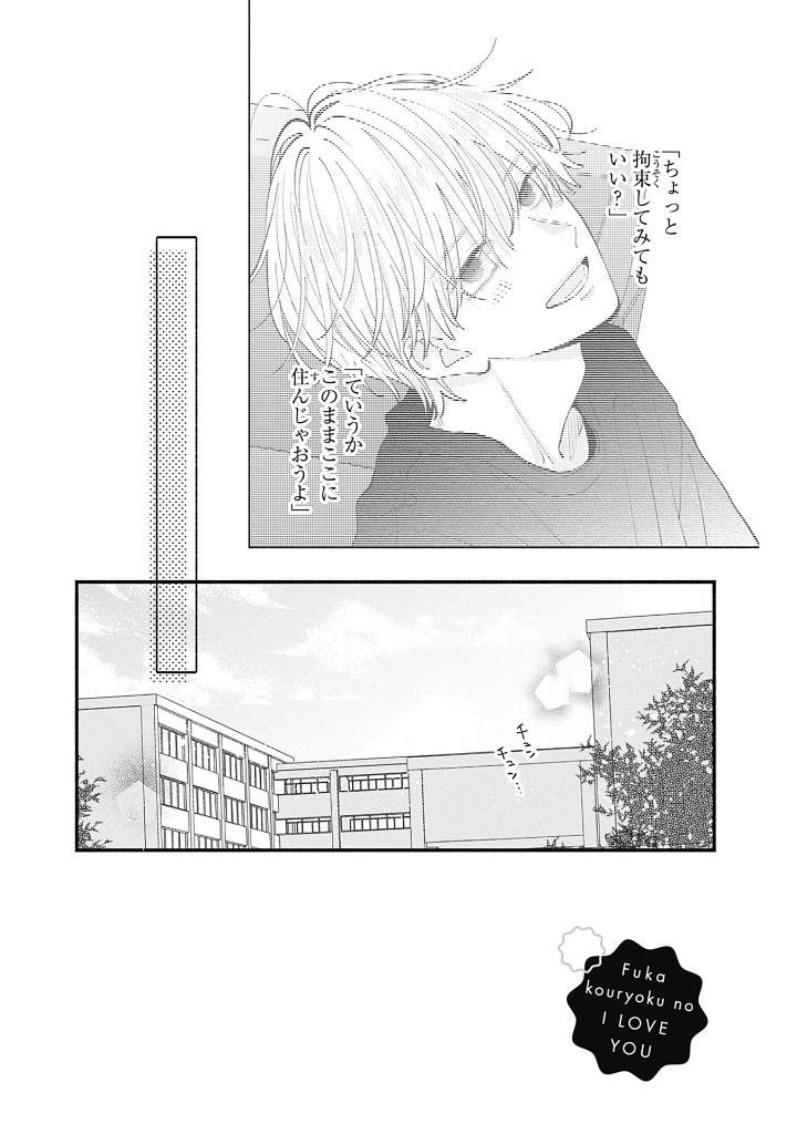 Sách ngoại văn: Fukakouryoku No I Love You 2 (Japanese Edition)