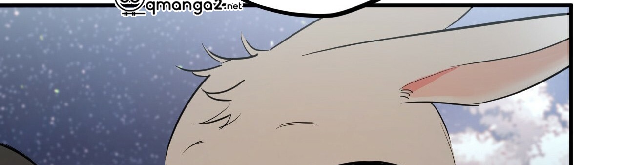 đàn thỏ của habibi chapter 22 215