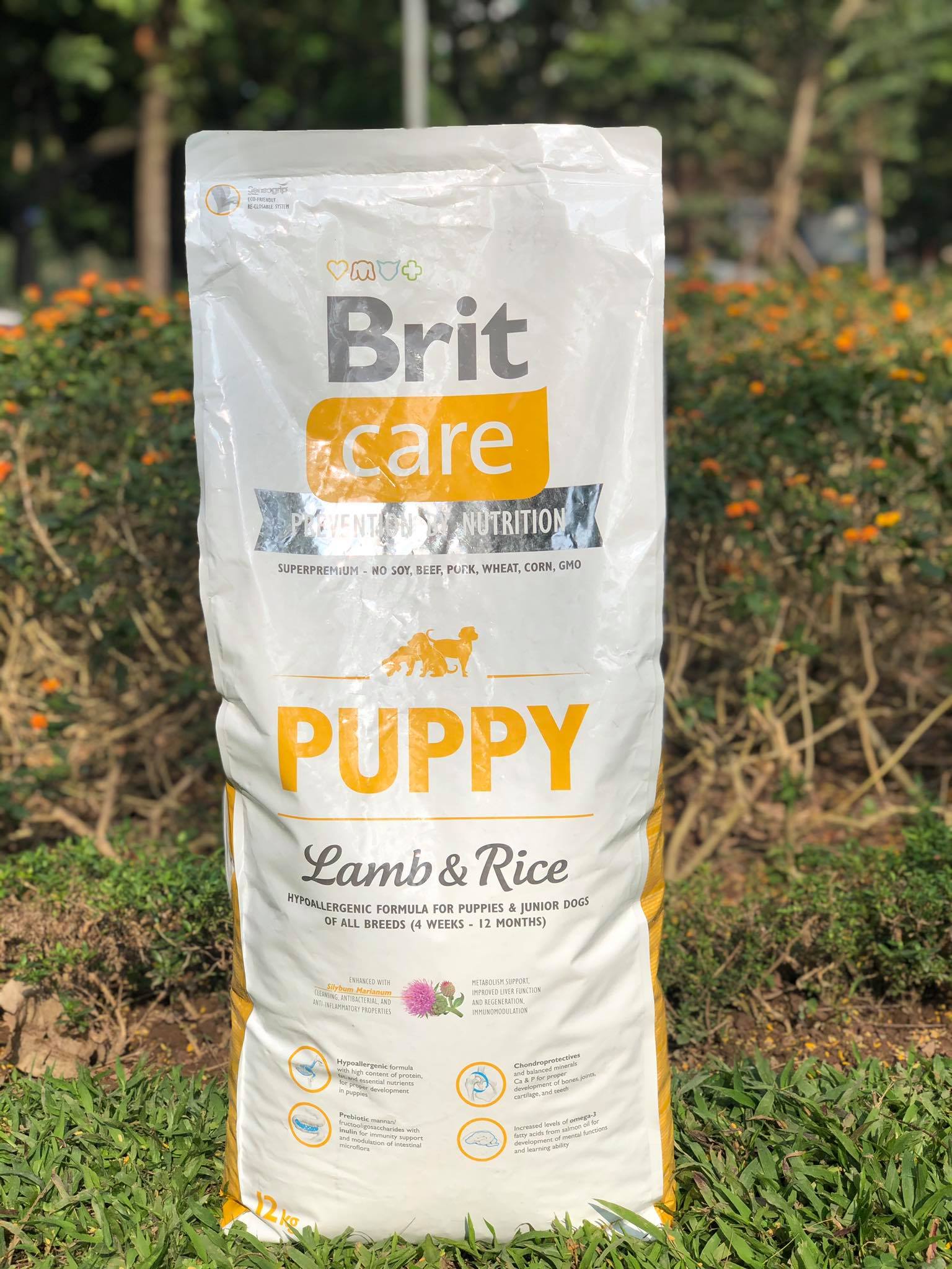 Thức ăn hạt cao cấp dành cho chó con ăn dặm vị thịt cừu -  CH Séc - Brit Care Puppy Lamb&amp;Rice (12kg)