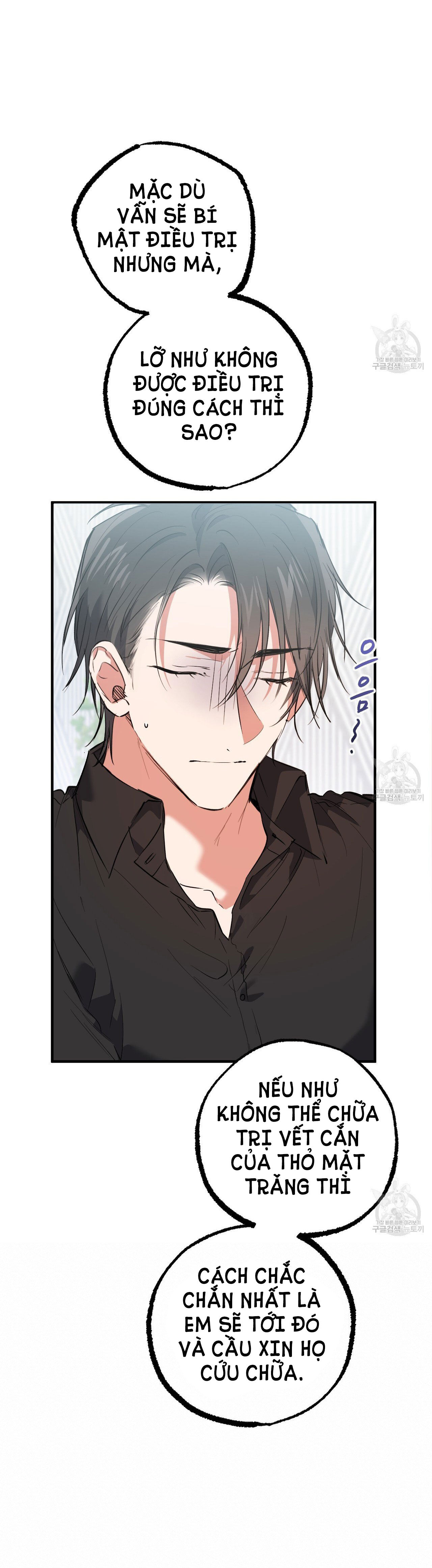 những chú thỏ của hapypy chapter 61.1 6