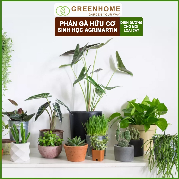 Phân Gà Hữu Cơ Greenhome, Agrimartin, Bao 1kg, Cải Tạo Đất, Tăng Khả Năng Ra Hoa, Đậu Trái, Hoa To, Quả Bóng, Đậm Vị