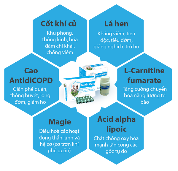 Thành phần của Bảo Khí Khang 1