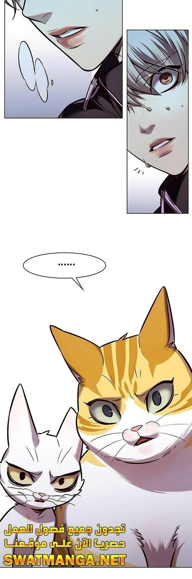 biến thân thành mèo chapter 229 63