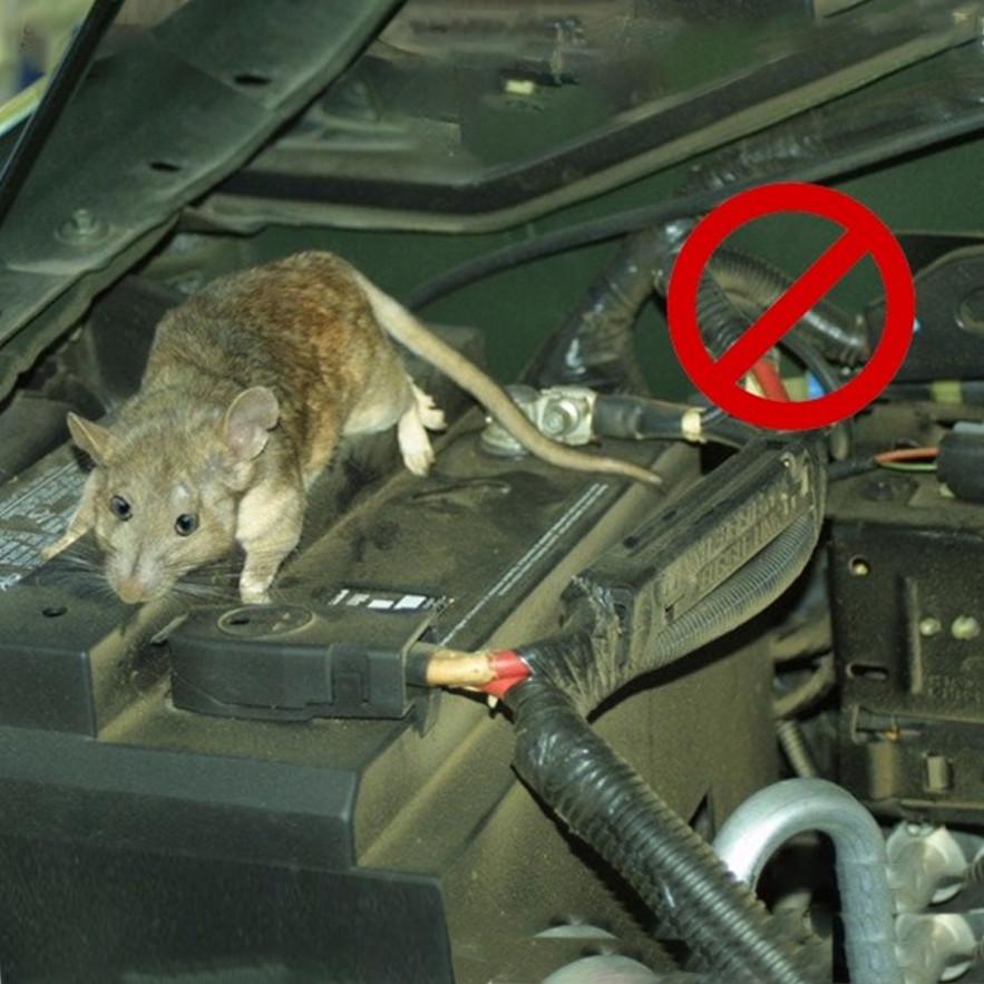 Chai đuổi chuột khoang máy Ô tô, Chống chuột, côn trùng hương liệu thiên nhiên an toàn sử dụng