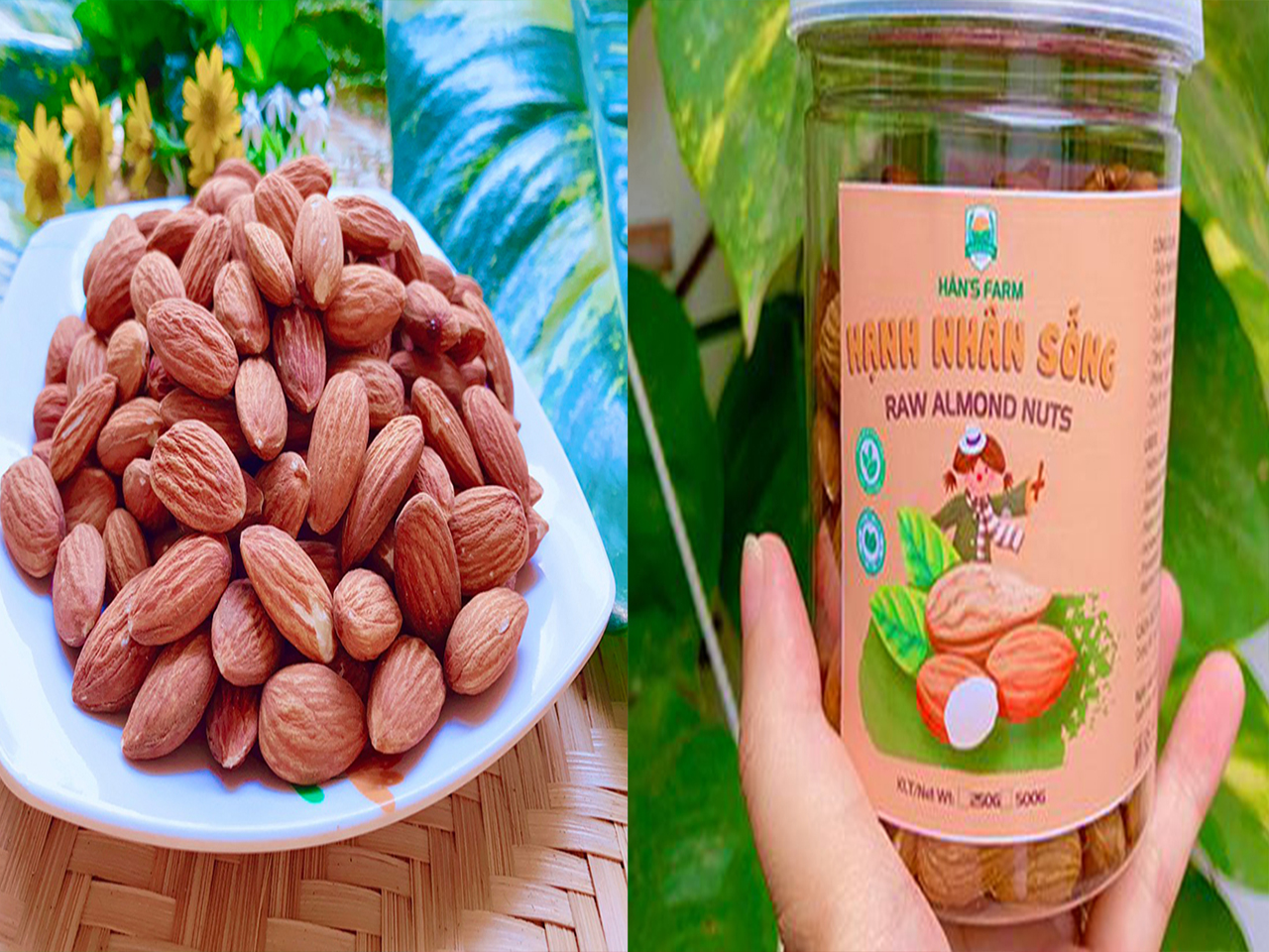 Hạnh nhân sống Mỹ không biến đổi gen nonpareil size 27/30 _ Raw almonds non GMO size 27/30