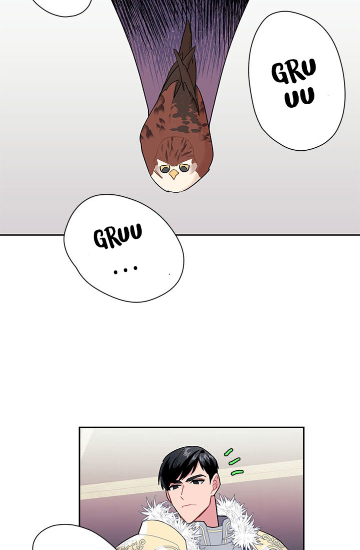 công chúa của loài chim chapter 8 72