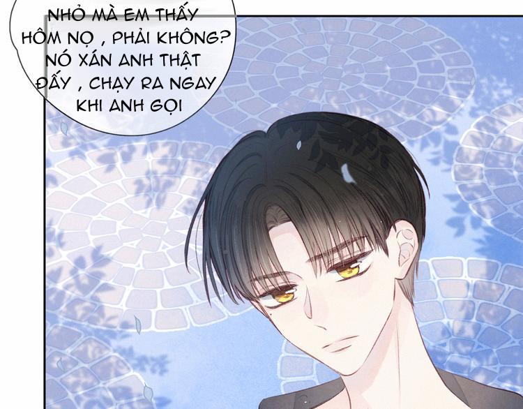 nỗi buồn của hoa cẩm tú cầu chapter 51 38