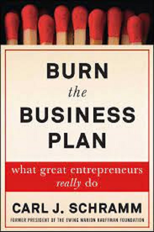 Burn the Business Plan : What Great Entrepreneurs Really Do