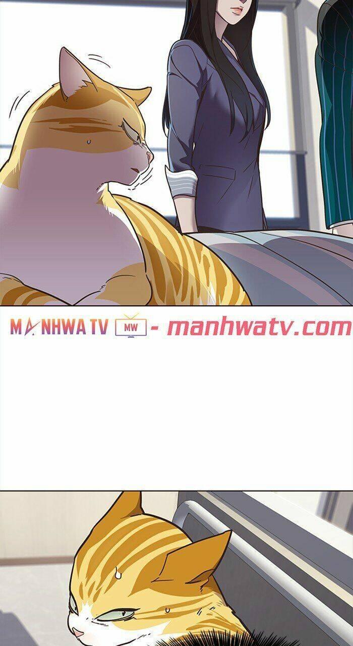 biến thân thành mèo chapter 28 48