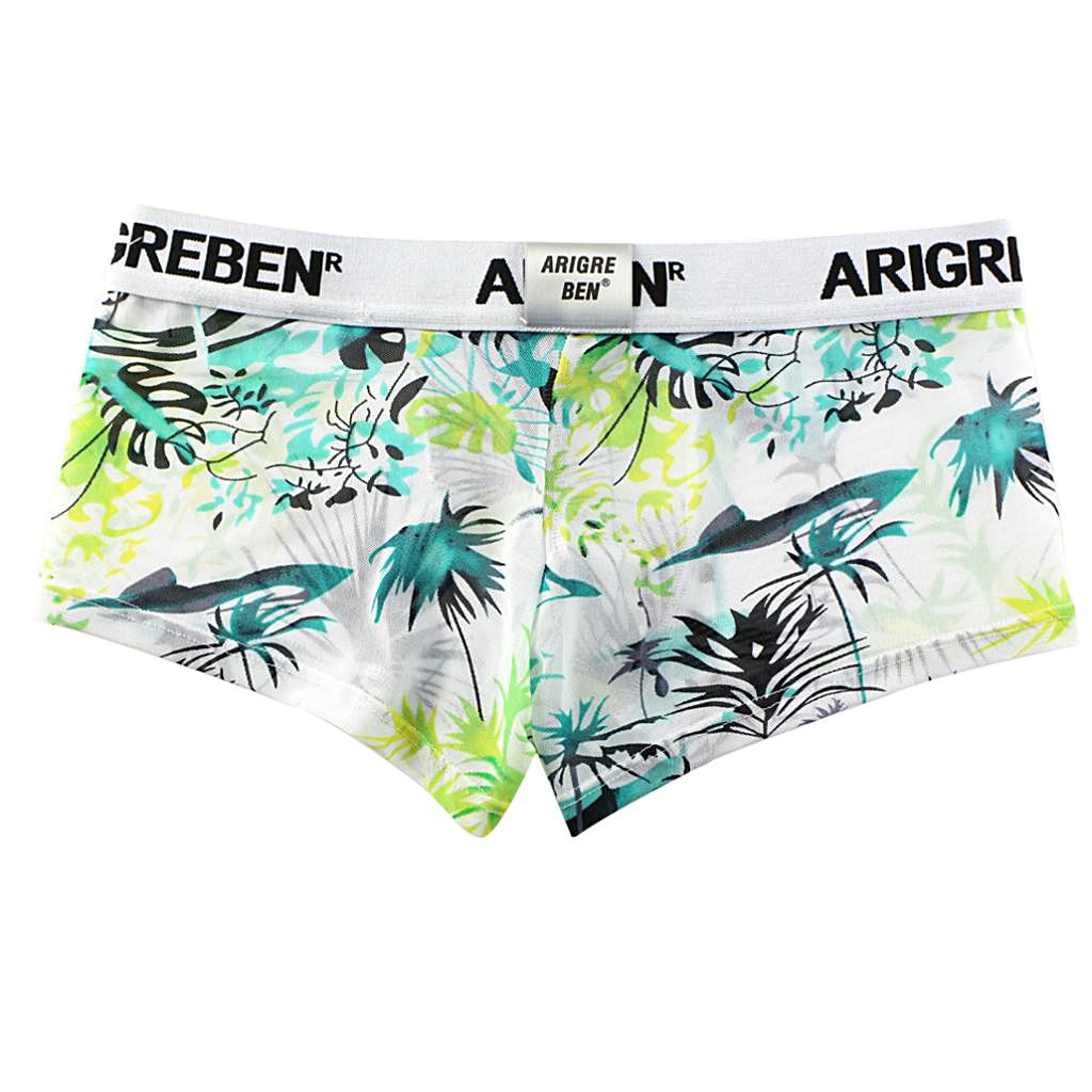 Mens Sexy Sheer Mesh Net Underwear Boxer Briefs Flower Underpants