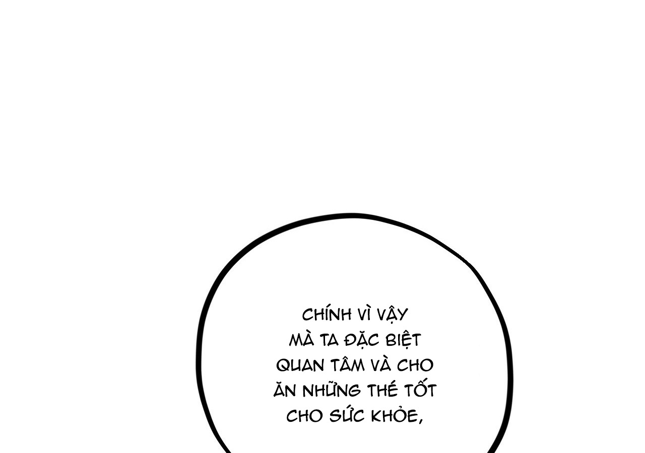 đàn thỏ của habibi chapter 21 160