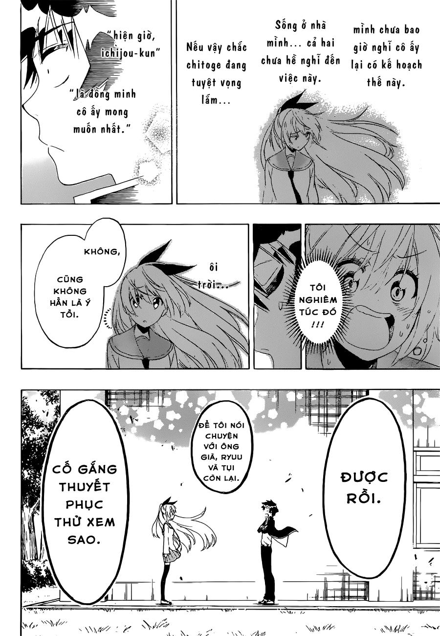 nisekoi - tình yêu giả tạo chapter 159 16