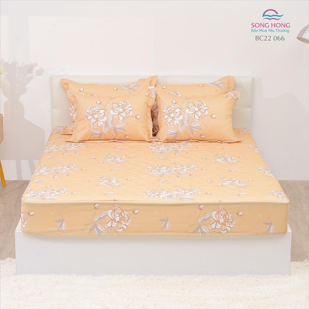 Bộ Ga chun chần Sông Hồng basic - Chất cotton
